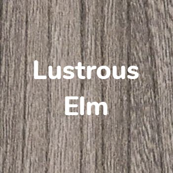 Lustrous Elm